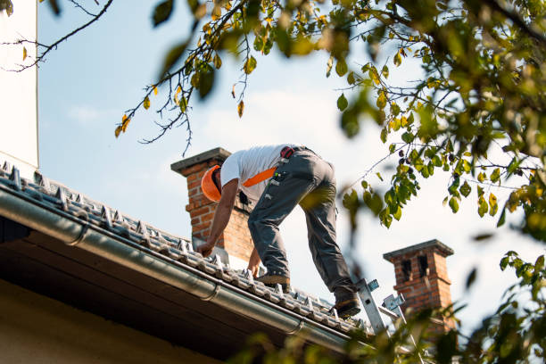 Best Roof Repair Services  in Madisonville, TN