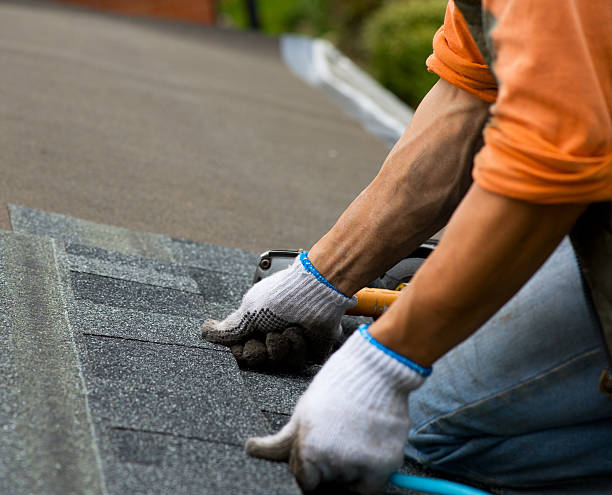 Professional Roofing Contractor in Madisonville, TN