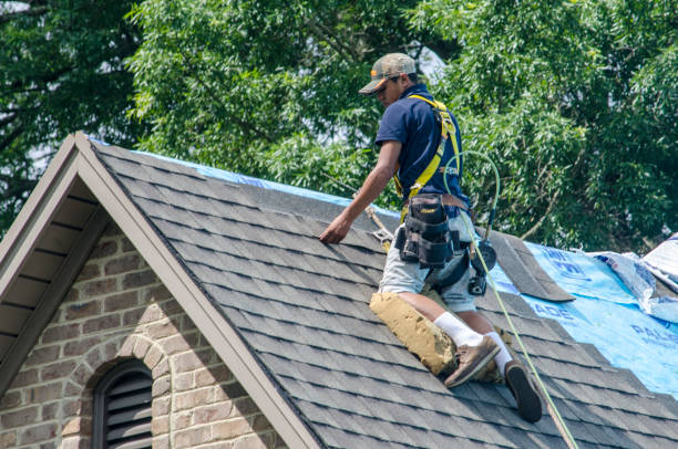 Best Gutter Installation and Roofing  in Madisonville, TN